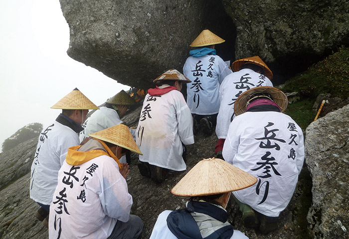 宮之浦岳へ岳参りする人びと。海砂、米、焼酎などを山の神に捧げて祈願し、山からシャクナゲを持ち帰り皆で分け合う　提供：屋久島町観光まちづくり課