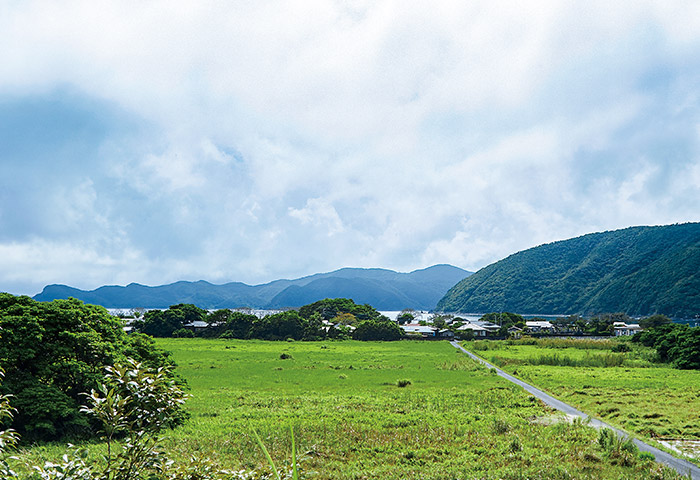 高台から見た諸鈍集落（金久地区）。手前は川の水を引き込んだ水田エリア。奥は海岸沿いの微高地に建てられた住宅群。ちょっとした高低差を利用して暮らしている