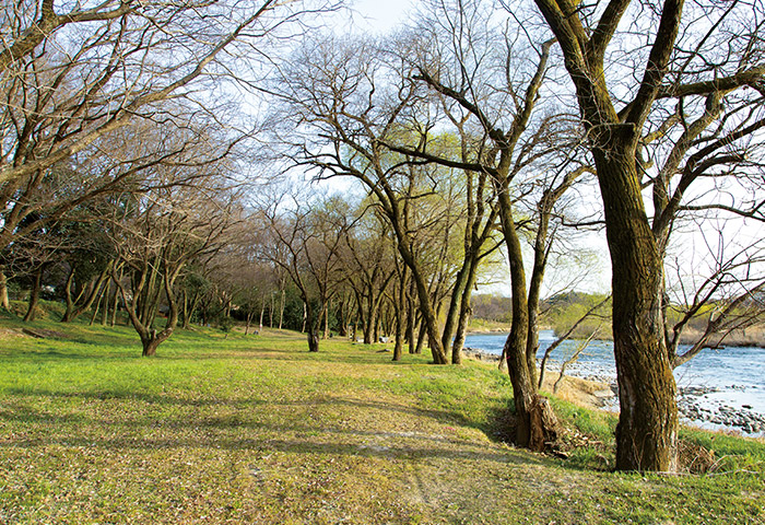 きれいに整備された古鼡水辺公園