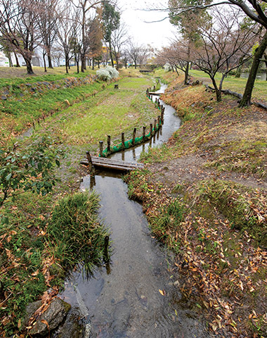 矢作川の水が導水されている児ノ口公園（ちごのくちこうえん）。子どもから大人まで遊べる自然公園として1991年に豊田市がリニューアルした
