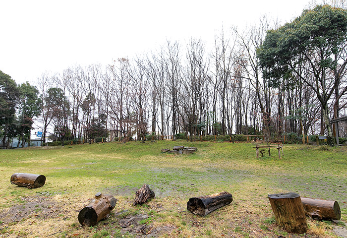 児ノ口公園の芝生広場。このほか水田や池などもある