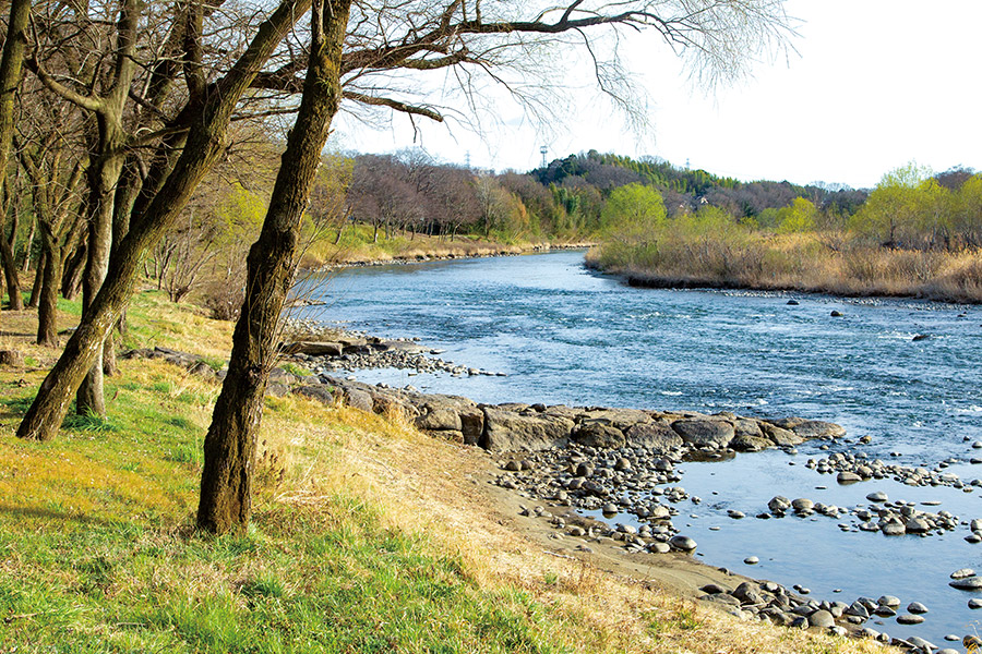 矢作川中流域にある古鼡水辺公園周辺。水制工など人の手が入っていてこの美しさがある