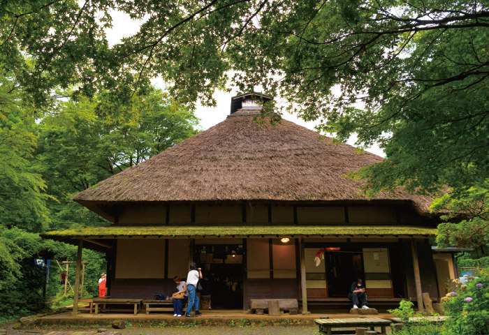 難所だった箱根旧街道で江戸時代から営業を続ける「箱根甘酒茶屋」