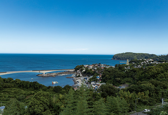 高台から岩中央地区を望む