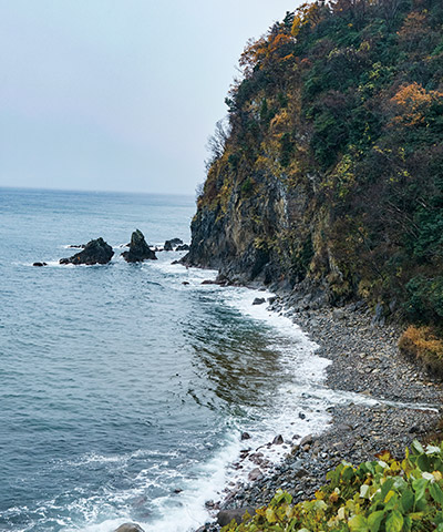 両津から鷲崎集落へ向かう海沿いはこうした断崖絶壁が続く