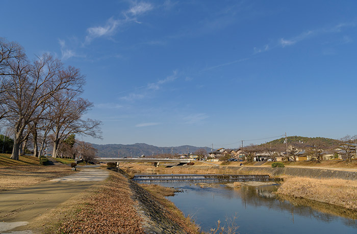 登場人物たちが印象的な会話を交わす賀茂川の上流付近