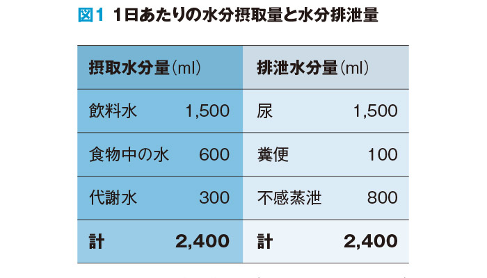 1日あたりの水分摂取量と水分排出量