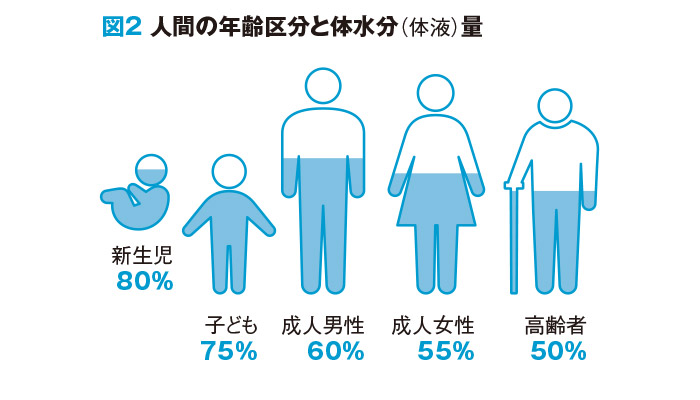 人間の年齢区分と体水分（体液）量