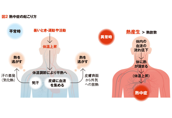 熱中症の起こり方