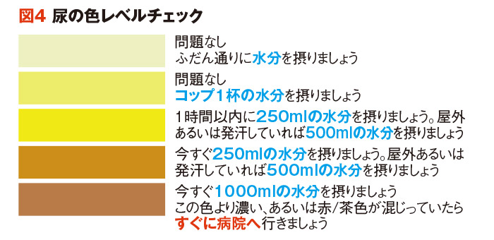 尿の色レベルチェック