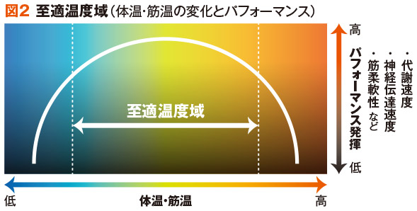 図2 至適温度域（体温・筋温の変化とパフォーマンス）