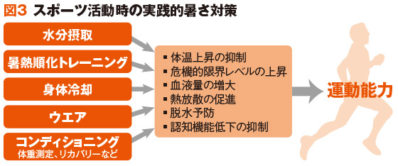 図3	スポーツ活動時の実践的暑さ対策