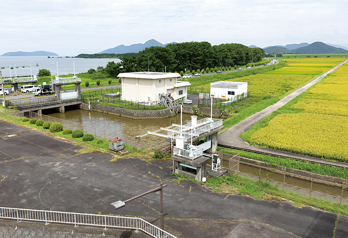 野洲川揚水機場のすぐ横にある排水路。魚はここを通って湖と水田を行き来する