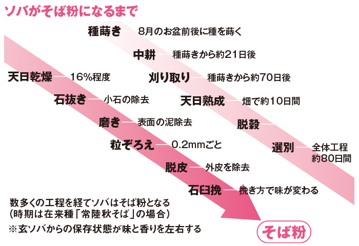 ソバがそば粉になるまで