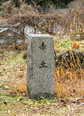 常陸秋そば発祥の地とされる赤土地区。今も原原種が大事に育てられている