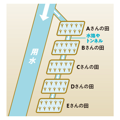 田越し灌漑の概念図