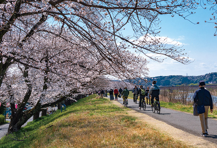 満開の桜の下、思い思いに多摩川を楽しむ人びと