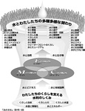 水の文化楽習プログラムを考える