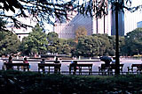 都市公園