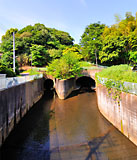 都市を養う水