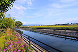 都市を養う水