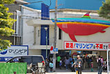 しびれる水族館