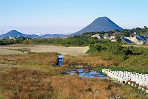 氷河が教えてくれること