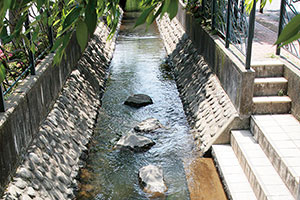 地域で受け継ぐ水遺産