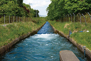 地域で受け継ぐ水遺産