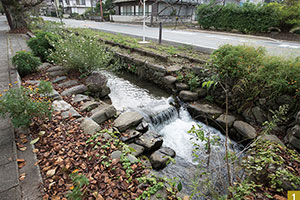 地域で受け継ぐ水遺産