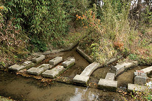 地域で受け継ぐ水遺産