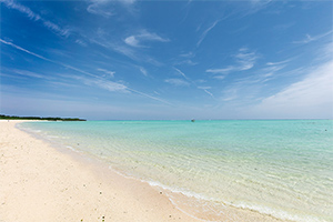 南西諸島 水紀行