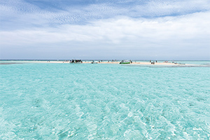 南西諸島 水紀行