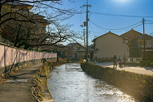 芸術と水