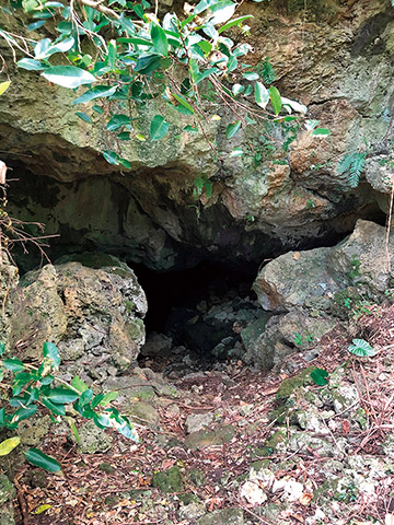 宮古島の東平安名崎（ひがしへんなざき）のそばにある洞窟の湧水 提供：須山聡さん