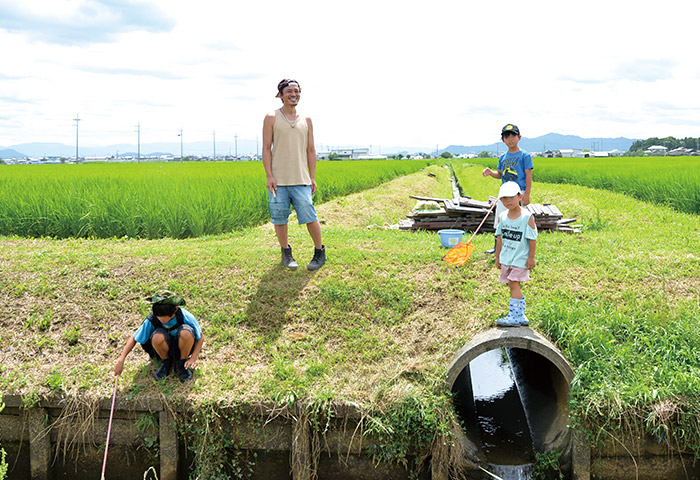 堀さんたちが管理する「ゆりかご水田」で魚すくいをする家族