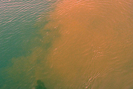 1977年に初めて大規模な淡水赤潮が発生した琵琶湖。1990年代までは数多く観測されていたが、2010年からは発生していない