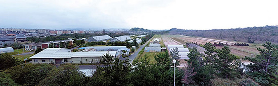 実験温室が鳥取大学乾燥地研究センターの広大な敷地に並ぶ。