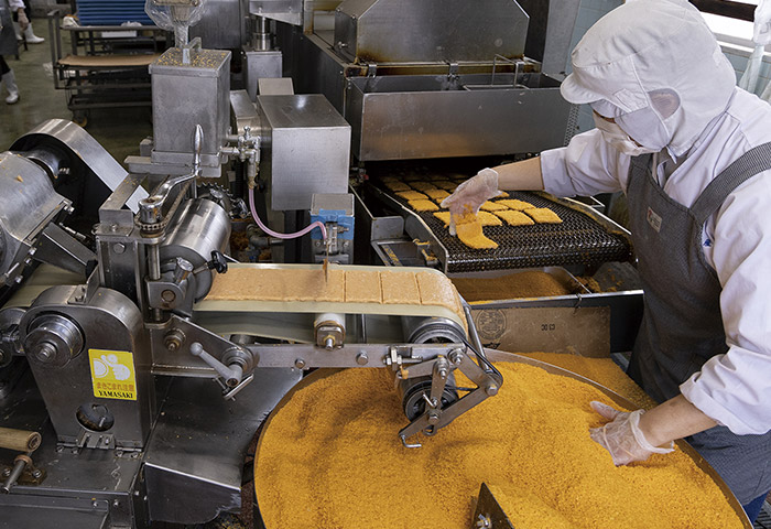 機械で成形したすり身にパン粉をまぶして揚げる