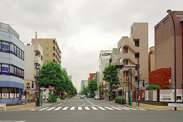 本所割下水（南割下水）は昭和初期に暗渠となり、1994年（平成6）から 「北斎通り」と命名された。