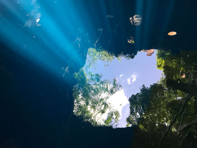セノーテで泳ぐ人びと、水中から地上を見上げた神秘的な光景など印象的なシーンが相次ぐ映画『セノーテ』。さらに独白のようなナレーションが入ることで、時空を超えたかのような錯覚に陥る　提供：スリーピン