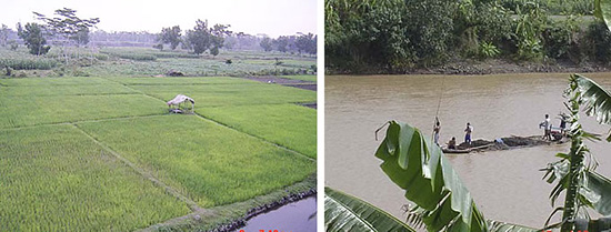 左：インドネシア・クルド火山地域サンドポケット内の農地化。右：インドネシア・ブランタス川の砂利採取。