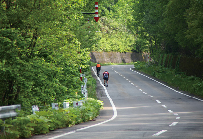 東川町の森のなかを走るロードレーサー。タイムではなく健康促進を目的とするイベント「キトウシ国際サイクリング」も2018年に始まった（提供：東川町）