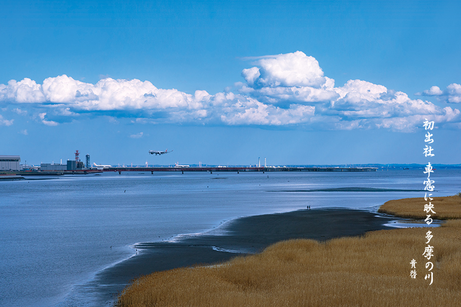 多摩川右岸(川崎市側)から羽田空港を望む。飛行機と干潟のコントラストが興味深い