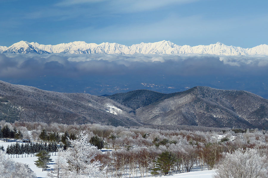 北アルプスを望む。日本海側は世界有数の豪雪地帯(撮影:川瀬宏明さん)