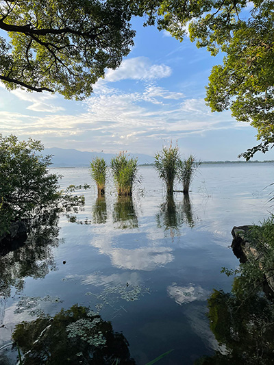 機関誌『水の文化』75号 発行のお知らせ